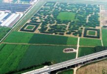 Vila chinesa transforma reflorestamento em QR Code gigante para impulsionar turismo