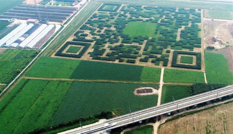 Vila chinesa transforma reflorestamento em QR Code gigante para impulsionar turismo
