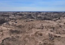China fortalece “Grande Muralha Verde” para conter desertificação no Taklamakan