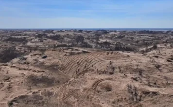 China fortalece “Grande Muralha Verde” para conter desertificação no Taklamakan