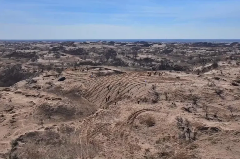 China fortalece “Grande Muralha Verde” para conter desertificação no Taklamakan