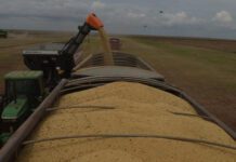 Exportações de soja do Brasil batem recorde e reforçam peso da China