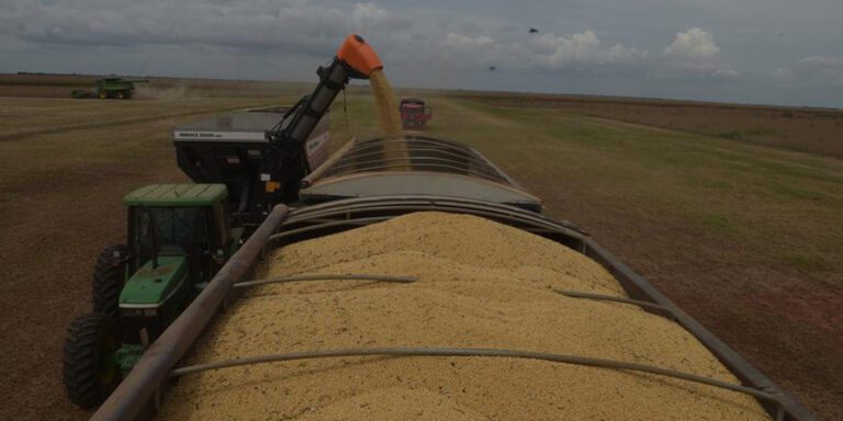 Exportações de soja do Brasil batem recorde e reforçam peso da China