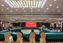 Articulação entre a mídia da diáspora fortalece o desenvolvimento do turismo cultural