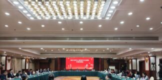 Articulação entre a mídia da diáspora fortalece o desenvolvimento do turismo cultural