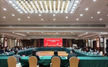 Articulação entre a mídia da diáspora fortalece o desenvolvimento do turismo cultural