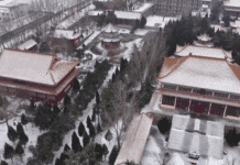 Neve transforma Dingtao em paisagem de inverno no leste da China