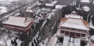 Neve transforma Dingtao em paisagem de inverno no leste da China