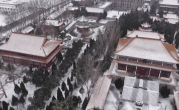 Neve transforma Dingtao em paisagem de inverno no leste da China
