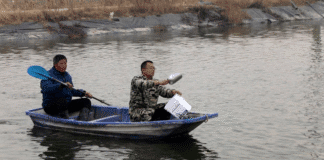 Especialistas orientam piscicultores diante de queda brusca de temperatura em Dingtao