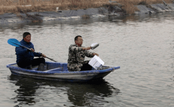 Especialistas orientam piscicultores diante de queda brusca de temperatura em Dingtao