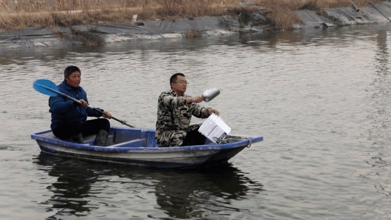 Especialistas orientam piscicultores diante de queda brusca de temperatura em Dingtao