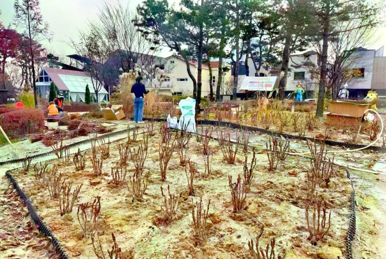 Heze doa 500 mudas de peônias e inaugura jardim conjunto em Osan, na Coreia do Sul