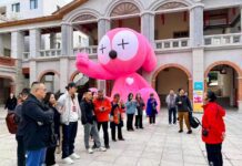 Mídias chinesas do exterior vivenciam o Punho da Garça Branca de Yongchun, em Fujian