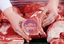 Brasil Recebe “Sinalização Favorável” de Autoridades Chinesas Sobre Comércio de Carne Bovina