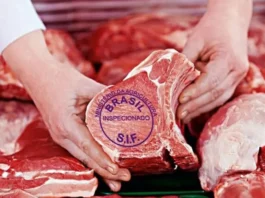 Brasil Recebe “Sinalização Favorável” de Autoridades Chinesas Sobre Comércio de Carne Bovina
