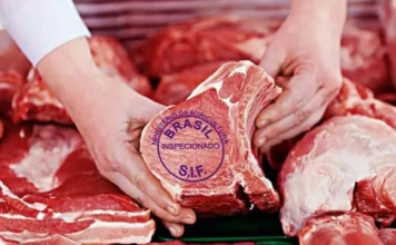 Brasil Recebe “Sinalização Favorável” de Autoridades Chinesas Sobre Comércio de Carne Bovina