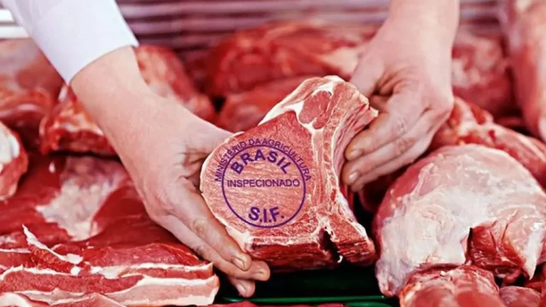 Brasil Recebe “Sinalização Favorável” de Autoridades Chinesas Sobre Comércio de Carne Bovina