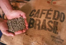 Cooperação em café entre Brasil e China reforça laços culturais e comerciais