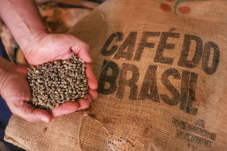 Cooperação em café entre Brasil e China reforça laços culturais e comerciais