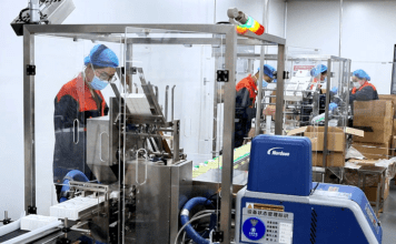 Feira de Emprego de Primavera em Dingtao Atrai Milhares de Candidatos