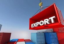 Governo Brasileiro Analisa Cotas de Exportação de Carne Bovina Para Evitar Desabastecimento e Impacto no Consumidor