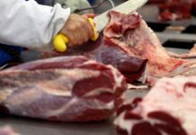 Governo Brasileiro Analisa Cotas de Exportação de Carne Bovina Para Evitar Desabastecimento e Impacto no Consumidor
