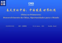 Brasília sedia “Diálogo China na Primavera” para fortalecer parceria "Diálogo China na Primavera” Divulgação