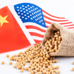 Soja e exportação em debate entre EUA e China