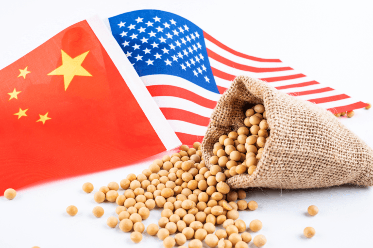 Soja e exportação em debate entre EUA e China