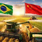Segurança alimentar Brasil China