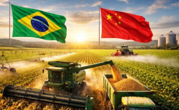 A Aliança Estratégica Brasil-China na Segurança Alimentar Global Segurança alimentar Brasil China