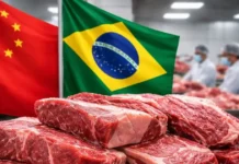 China já consome mais de 30% da cota de carne bovina brasileira e reforça ritmo das importações Cotas exportação carne bovina China