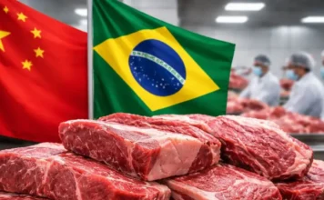 China já consome mais de 30% da cota de carne bovina brasileira e reforça ritmo das importações Cotas exportação carne bovina China