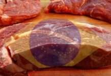 China e Estados Unidos ampliam importações de carne bovina do Brasil e reforçam peso do país no comércio global Carne bovina brasileira bate recorde de exportaçõ