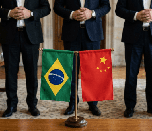 Cooperação verde entre Brasil e China avança, mas enfrenta entraves estruturais Economia verde Brasil-China