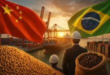 Brasil e China flexibilizam regras sanitárias para o comércio de soja Soja Brasil China e flexibilização de normas sanitárias