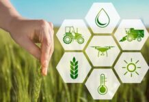 China reforça metas de modernização agrícola e aposta em tecnologia para garantir segurança alimentar Agrícola modernização na China
