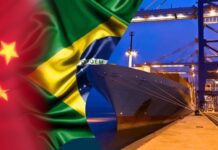 Pequenos e médios importadores brasileiros ampliam negócios com a China Importação e exportação Brasil China