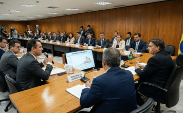 Brasil Delega ao Setor Privado Gestão de Cotas de Carne Bovina para a China, Anuncia Fávaro carne bovina brasileira, cotas exportação para a China