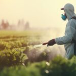 Padronização fitossanitárias