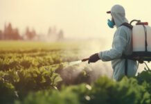 Brasil e China avançam em negociações fitossanitárias para fortalecer exportações do agro Padronização fitossanitárias