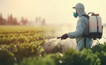 Brasil e China avançam em negociações fitossanitárias para fortalecer exportações do agro Padronização fitossanitárias