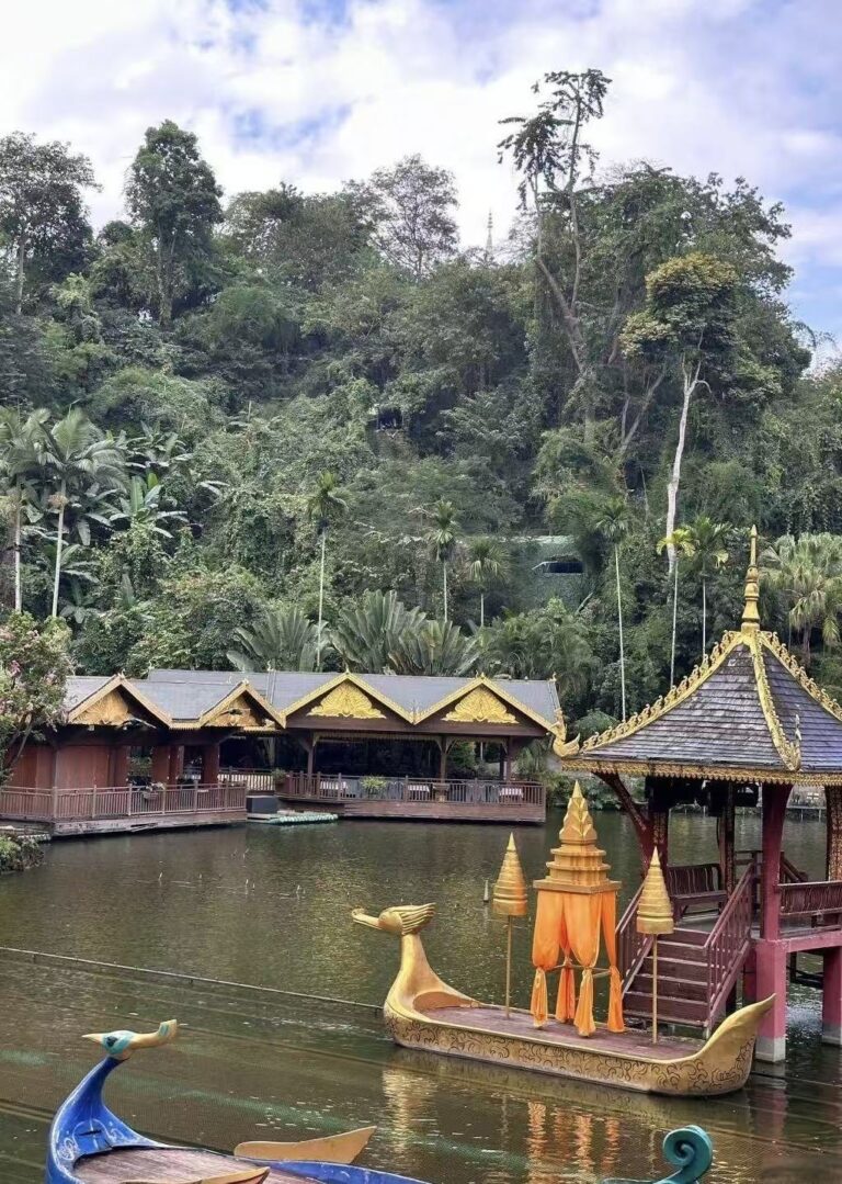Dança dos pavões na floresta tropical: a narrativa natural da floresta primária de Xishuangbanna
