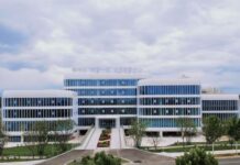 Desvendando os segredos da agricultura moderna de “dois aromas e um óleo”