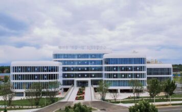 Desvendando os segredos da agricultura moderna de “dois aromas e um óleo”