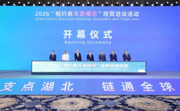 “Encontro das Cerejeiras” atrai atenção global para Hubei — mídia chinesa no exterior testemunha a ascensão aberta do centro da China
