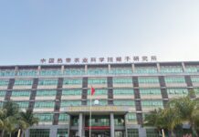 Ano inicial observa a China · Porto de Livre Comércio Aberto: quando a “terra do coco” encontra o “pão do deserto”