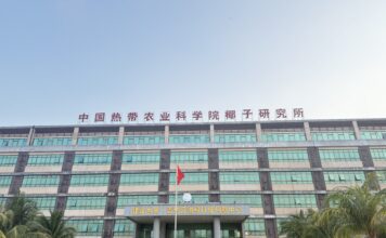 Ano inicial observa a China · Porto de Livre Comércio Aberto: quando a “terra do coco” encontra o “pão do deserto”