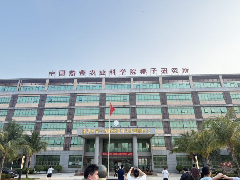 Ano inicial observa a China · Porto de Livre Comércio Aberto: quando a “terra do coco” encontra o “pão do deserto”